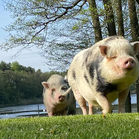 Hébergement de vacances Kersdorf *