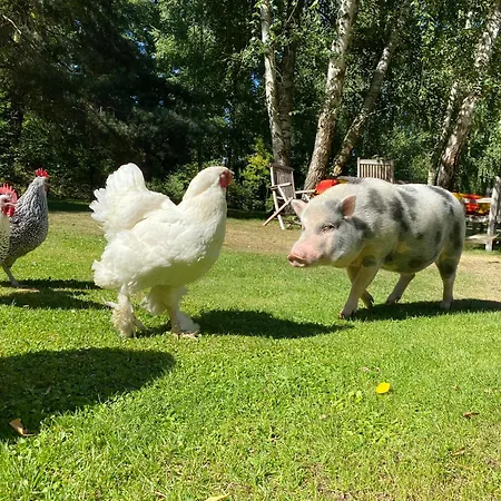 Kersdorf * Briesen (Mark)