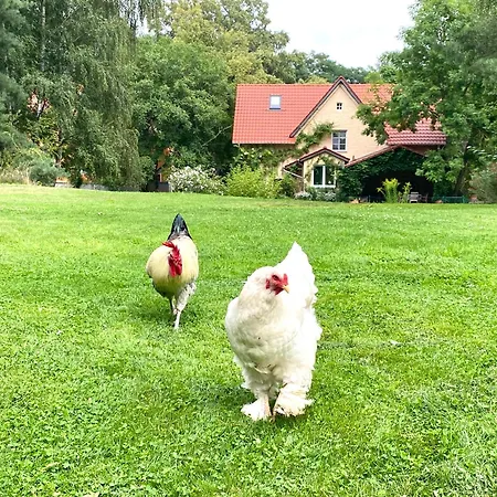 Kersdorf Hébergement de vacances