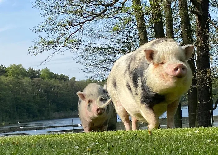 度假居 Kersdorf *