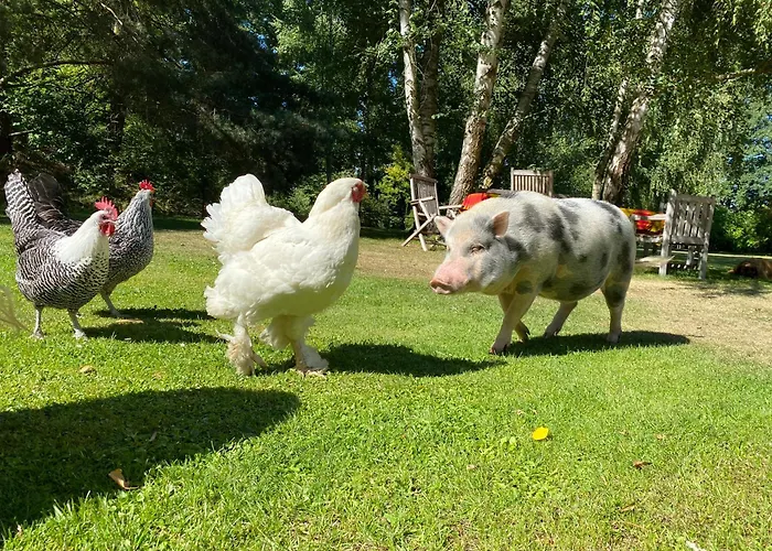 Kersdorf * Briesen (Mark)