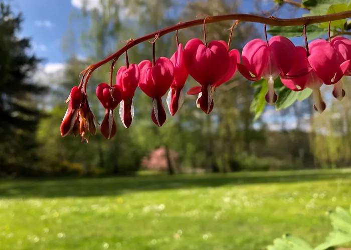 Kersdorf 度假居 Briesen (Mark)