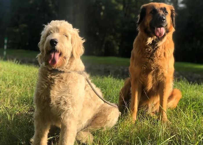 Kersdorf 度假居 Briesen (Mark)